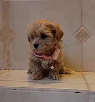 processed/34ba493f-41e4-428c-a0d0-804cf2f27d2a/listing/60e5d226-94da-4d15-a400-8d7a88946020/47ef6033-70e5-4eb0-bf65-cbac473cea40