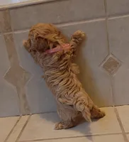 processed/34ba493f-41e4-428c-a0d0-804cf2f27d2a/listing/60e5d226-94da-4d15-a400-8d7a88946020/eaac83b2-e310-4135-9a64-0c18406ce964