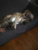 processed/34c2735e-2c3d-4d30-b81e-8ef35fcec9ad/facility/10416707-73a0-44a7-a93a-8f39b8476986