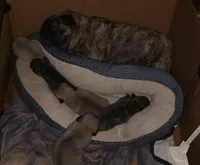 processed/34c2735e-2c3d-4d30-b81e-8ef35fcec9ad/facility/1b74d31a-af94-4a8b-a224-f563055b8519