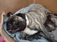 processed/34c2735e-2c3d-4d30-b81e-8ef35fcec9ad/facility/33fb09f0-9ef8-4370-a1fa-26b145f542a8