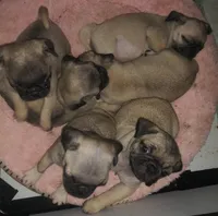 processed/34c2735e-2c3d-4d30-b81e-8ef35fcec9ad/facility/37fa0fe4-bc08-487e-ac8c-233677c8ae5b