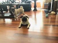 processed/34c2735e-2c3d-4d30-b81e-8ef35fcec9ad/facility/45db9bbf-ceff-4a4e-aae5-f88eea773c36