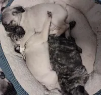 processed/34c2735e-2c3d-4d30-b81e-8ef35fcec9ad/facility/838cf5b3-fbcf-410e-b711-e12252ba27ee