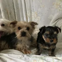 processed/34c27ff6-05c0-43d4-b31d-37ce6128c4ca/facility/cb712b86-1eac-419f-bc0e-ed4d7789b00b