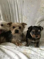 processed/34c27ff6-05c0-43d4-b31d-37ce6128c4ca/facility/cb712b86-1eac-419f-bc0e-ed4d7789b00b