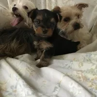 processed/34c27ff6-05c0-43d4-b31d-37ce6128c4ca/facility/dfd6fe8f-bc8d-44c9-a557-8310b36c4e24