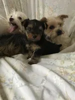 processed/34c27ff6-05c0-43d4-b31d-37ce6128c4ca/facility/dfd6fe8f-bc8d-44c9-a557-8310b36c4e24