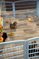 processed/34c7fad3-9872-49d3-99be-82f2c34c4c2b/facility/31f05bd3-2926-4bd2-9758-56093872874d