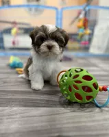 processed/34c7fad3-9872-49d3-99be-82f2c34c4c2b/facility/35557e20-42b6-4929-b992-15834df8213e