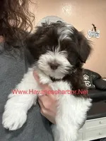 processed/34c7fad3-9872-49d3-99be-82f2c34c4c2b/facility/7416cfd0-256f-486b-a916-a62d46bdbeb0