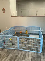 processed/34c7fad3-9872-49d3-99be-82f2c34c4c2b/facility/8a4a7710-5bda-4636-8d08-58e5d0064cff