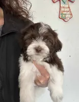 processed/34c7fad3-9872-49d3-99be-82f2c34c4c2b/facility/ccaa0c24-b7ed-4873-bc68-5e87a8e6a11b