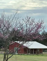 processed/34c7fad3-9872-49d3-99be-82f2c34c4c2b/facility/efeb26f4-7f26-4eae-9f55-812e5a64873e