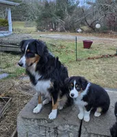 processed/34cd77b6-9e4e-47d9-b06f-cb1d7882e853/listing/ee0d81c4-1ef2-45f3-9328-3eb03ee8a9e5/387e4a7e-e55a-43d4-840e-d0ae0a926b9a