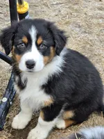 processed/34cd77b6-9e4e-47d9-b06f-cb1d7882e853/listing/ee0d81c4-1ef2-45f3-9328-3eb03ee8a9e5/78049720-dd0f-455b-b56c-531a6be1cdab