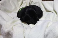 processed/34da71ec-8db8-4bfc-822f-f254d5b8221f/listing/5114b407-1881-4bc0-b262-c42299f22735/665e3604-6ee0-4297-8dfa-323586f7f502