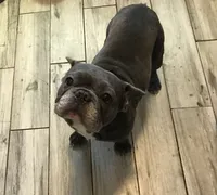 processed/34debce6-e166-4a86-b7b1-6a09dbd38ea6/listing/0c83afd2-ba7d-4b10-a561-ba476312f323/441b1925-1800-41cf-8792-d674ea2424fe