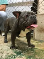 processed/34debce6-e166-4a86-b7b1-6a09dbd38ea6/listing/0c83afd2-ba7d-4b10-a561-ba476312f323/b229ba4b-5ee3-46c0-afda-d59be718a933