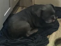 processed/34debce6-e166-4a86-b7b1-6a09dbd38ea6/listing/0c83afd2-ba7d-4b10-a561-ba476312f323/f2ed8280-c0ec-49cb-9e78-0bc12d922c52