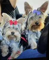 processed/34e4ad4f-4b84-4cad-bdcd-26b042049119/facility/7f32a334-e350-4cd6-b4f7-164887e6809b