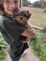 processed/34e4ad4f-4b84-4cad-bdcd-26b042049119/facility/bdaa1d9d-a50a-4947-af0b-770de24b63dc