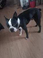 processed/34efb065-4b8d-42a9-80bb-9048691bf14f/listing/0842f278-fb8d-47f5-a38d-475e33cdc90b/300ef23a-03d7-4d09-ba4a-20f6f4b864f1