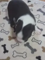 processed/34efb065-4b8d-42a9-80bb-9048691bf14f/listing/92981989-eea3-4be2-a9fc-082b4da35183/5b210c93-d237-44c3-94a0-86e1a282c8e9