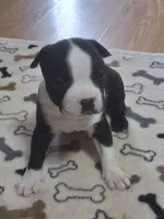 processed/34efb065-4b8d-42a9-80bb-9048691bf14f/listing/92981989-eea3-4be2-a9fc-082b4da35183/772d00cf-b710-4732-b40b-f988f9e65ff6