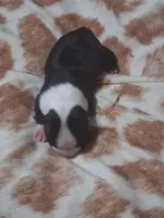 processed/34efb065-4b8d-42a9-80bb-9048691bf14f/listing/92981989-eea3-4be2-a9fc-082b4da35183/defddade-852f-4271-a127-97fa88df54f5