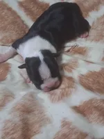 processed/34efb065-4b8d-42a9-80bb-9048691bf14f/listing/d38abfbd-76e2-4c3b-85f1-ae209c212fc3/1a588fb9-c53e-477c-bbed-1d3987342ead