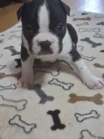 processed/34efb065-4b8d-42a9-80bb-9048691bf14f/listing/d38abfbd-76e2-4c3b-85f1-ae209c212fc3/52a7aa3b-021f-44a2-beda-25effbc237e6