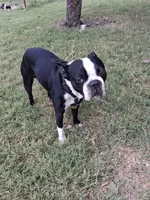 processed/34efb065-4b8d-42a9-80bb-9048691bf14f/listing/d38abfbd-76e2-4c3b-85f1-ae209c212fc3/5e14ef0f-4c9d-4f32-b0cc-db3e87be758b