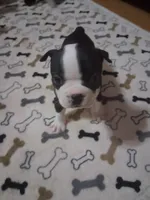 processed/34efb065-4b8d-42a9-80bb-9048691bf14f/listing/ee8e9e92-3bb4-4bb7-9c65-3917a54f8b88/4ef9de3b-e32a-4b91-9361-35492808ac0e