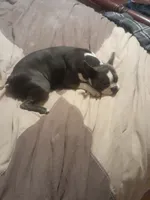 processed/34efb065-4b8d-42a9-80bb-9048691bf14f/listing/ee8e9e92-3bb4-4bb7-9c65-3917a54f8b88/69ce4369-b5d9-444b-9728-736fa34887e6