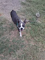 processed/34efb065-4b8d-42a9-80bb-9048691bf14f/listing/ee8e9e92-3bb4-4bb7-9c65-3917a54f8b88/efab9db9-ff23-4d13-9b98-e8224011cbba