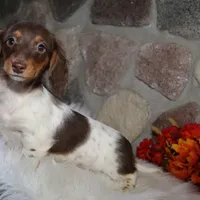 processed/3508b2c9-f82a-43c4-867b-604b54346520/facility/06ea177a-2b2d-4c02-981e-6576c287637d