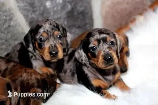 processed/3508b2c9-f82a-43c4-867b-604b54346520/facility/1a84cfde-fb3c-4b42-a239-bf5858a9edc4