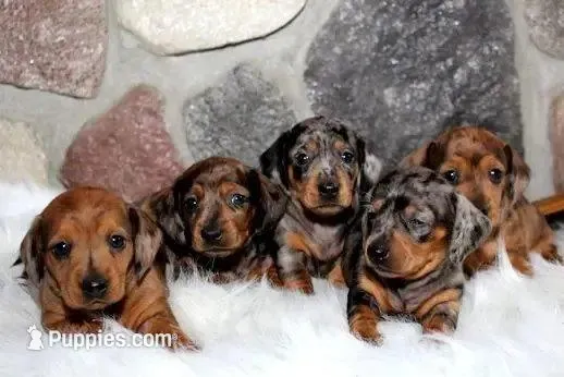 processed/3508b2c9-f82a-43c4-867b-604b54346520/facility/1df3596d-bee0-49c5-84c5-566525077232