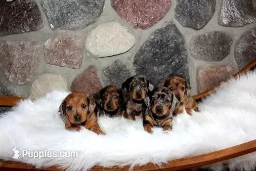 processed/3508b2c9-f82a-43c4-867b-604b54346520/facility/374b54c1-ea5d-4cae-9bfb-f787fb4b2c25