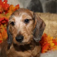 processed/3508b2c9-f82a-43c4-867b-604b54346520/facility/a5fa6943-1933-4de6-83f0-e2e86eca7b10