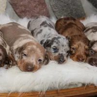 processed/3508b2c9-f82a-43c4-867b-604b54346520/facility/c758f056-b1b6-4dc0-ade4-21b936d13e2e