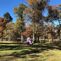 processed/3508b2c9-f82a-43c4-867b-604b54346520/facility/cfe8f3b5-0ca6-464c-847c-a08ed650763e