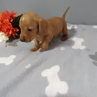 processed/350cd0ea-a363-4fa8-8caa-9dc41ad983ae/facility/461baf47-1d4d-4d2f-bd1e-07f9159cde8f