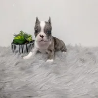 processed/350cd0ea-a363-4fa8-8caa-9dc41ad983ae/facility/da0a1442-46d9-4360-b15d-9cc38a985459