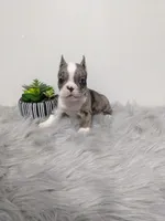 processed/350cd0ea-a363-4fa8-8caa-9dc41ad983ae/facility/da0a1442-46d9-4360-b15d-9cc38a985459