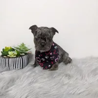 processed/350cd0ea-a363-4fa8-8caa-9dc41ad983ae/facility/ffb5fd2d-e953-45d7-81fe-b03c7177676a