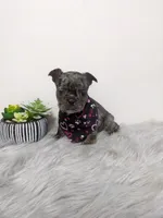 processed/350cd0ea-a363-4fa8-8caa-9dc41ad983ae/facility/ffb5fd2d-e953-45d7-81fe-b03c7177676a