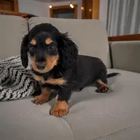 processed/350cd0ea-a363-4fa8-8caa-9dc41ad983ae/listing/2b4ad0be-5b3f-4827-ae2f-0a241406ec85/e71fd64d-1fed-4643-b114-f7e8ef7e161e