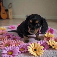 processed/350cd0ea-a363-4fa8-8caa-9dc41ad983ae/listing/4c20760d-e535-41b6-adc2-faa74629f608/8d01fb34-f473-477d-ad5a-27604433b008